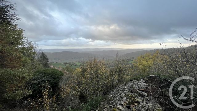 terrain à vendre - 26279.0 m2 - MONTJAUX - 12 - MIDI-PYRENEES - Century 21 Des 5 Vallées