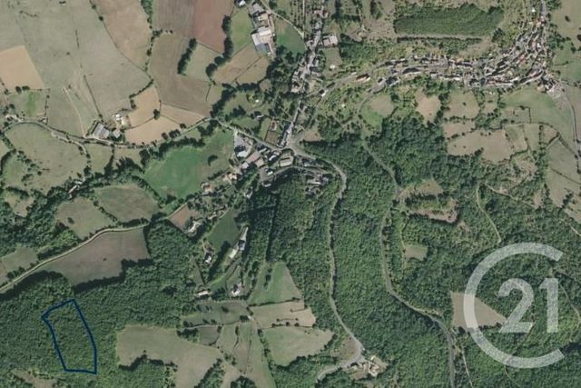 terrain à vendre - 17277.0 m2 - MONTJAUX - 12 - MIDI-PYRENEES - Century 21 Des 5 Vallées