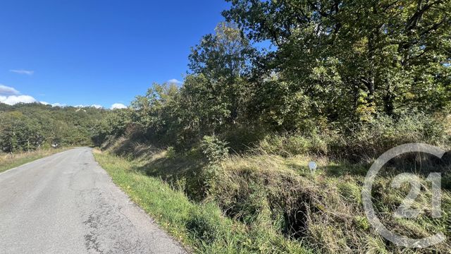 terrain à vendre - 11200.0 m2 - BELMONT SUR RANCE - 12 - MIDI-PYRENEES - Century 21 Des 5 Vallées