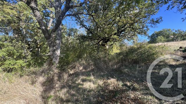 terrain à vendre - 11200.0 m2 - BELMONT SUR RANCE - 12 - MIDI-PYRENEES - Century 21 Des 5 Vallées