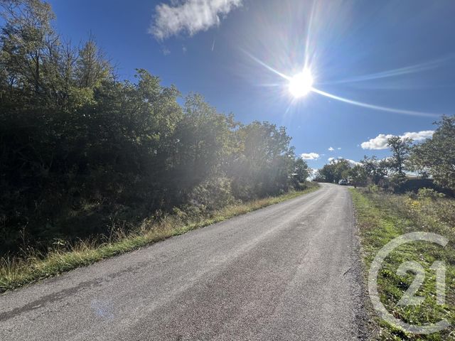 terrain à vendre - 11200.0 m2 - BELMONT SUR RANCE - 12 - MIDI-PYRENEES - Century 21 Des 5 Vallées