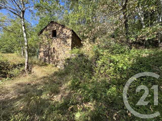 maison à vendre - 3 pièces - 47.0 m2 - VIALA DU TARN - 12 - MIDI-PYRENEES - Century 21 Des 5 Vallées
