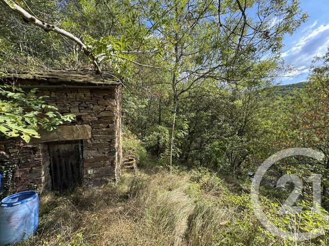 maison à vendre - 3 pièces - 47.0 m2 - VIALA DU TARN - 12 - MIDI-PYRENEES - Century 21 Des 5 Vallées